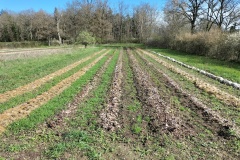 démarrage pépinière